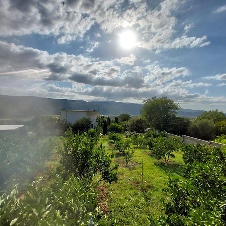 Guest House Xhaferaj بيرات المظهر الخارجي الصورة