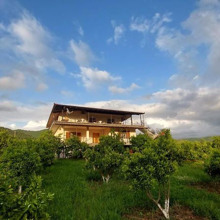 Guest House Xhaferaj بيرات المظهر الخارجي الصورة