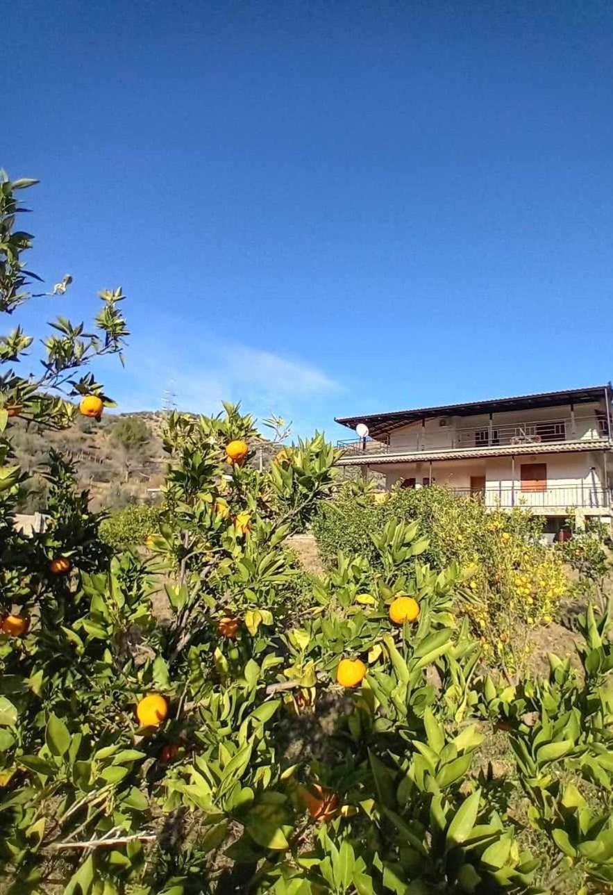 Guest House Xhaferaj بيرات المظهر الخارجي الصورة